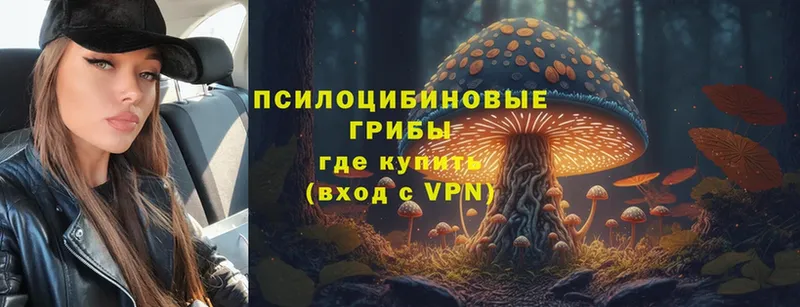 Галлюциногенные грибы Magic Shrooms  Арск 